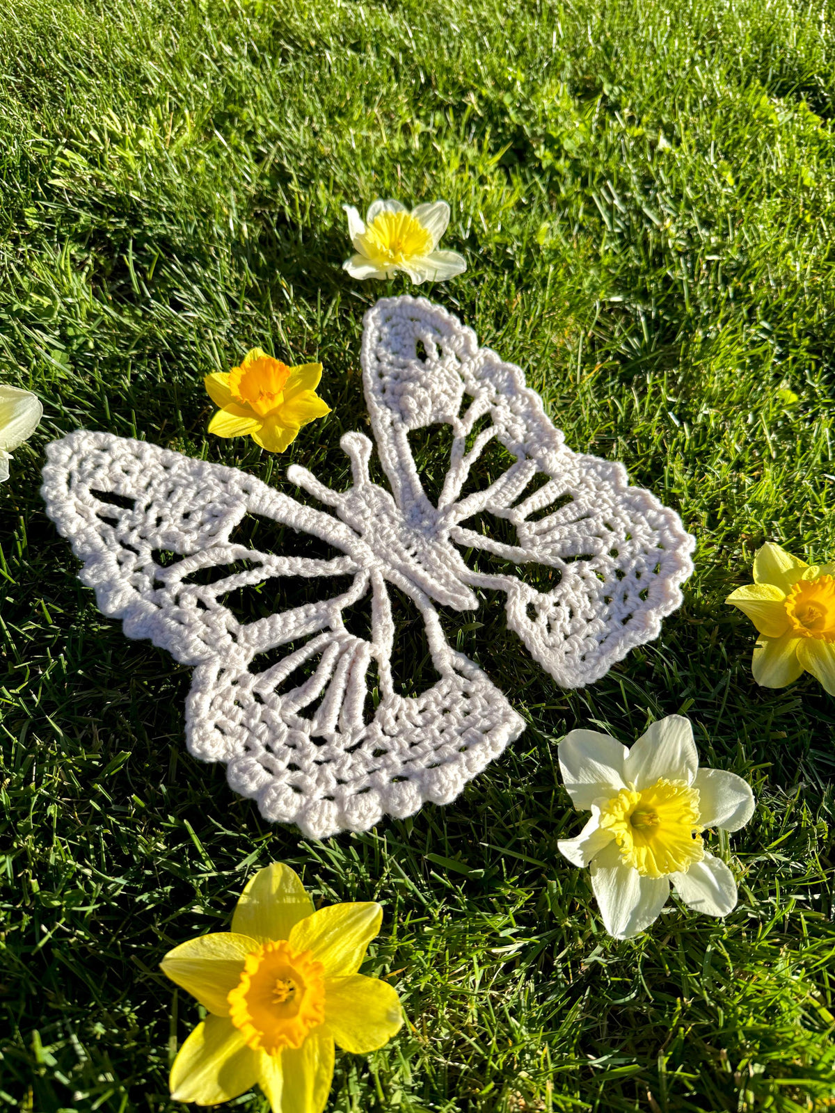 Butterfly Appliqué Pattern